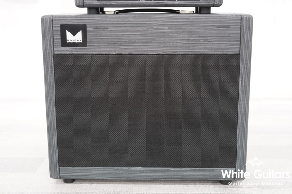 AC-20 HEAD&112 CAB - TWILIGHT