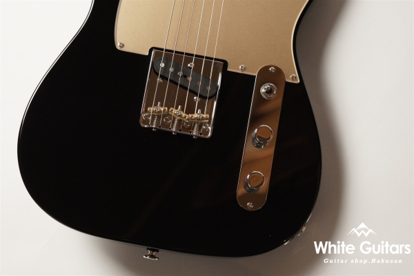 MT1-STD/R - Black / Gold Acryl Pick Guard