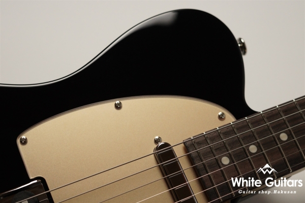 MT1-STD/R - Black / Gold Acryl Pick Guard