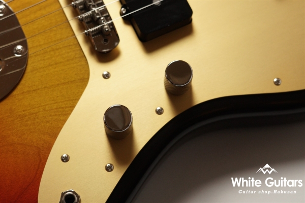 JMV-R2 - 3TS / Anodized Pickguard