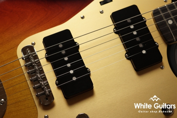 JMV-R2 - 3TS / Anodized Pickguard