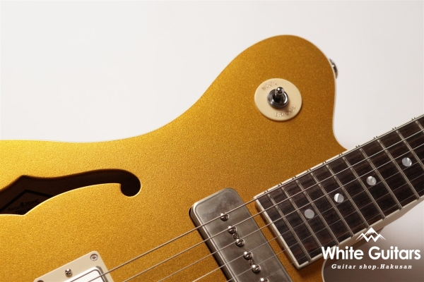 Supreme Collection Trailbreaker Mark-II w. HardTail - Aztec Gold