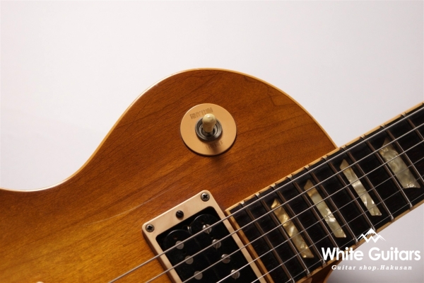 Les Paul Standard 1996 - Honey Burst