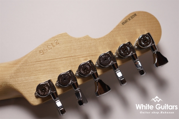 MC2-MV/R - WBD / Tortoiseshell PG