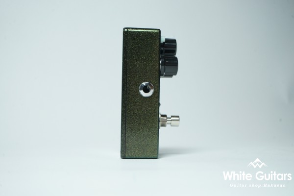 Carbon Copy Analog Delay